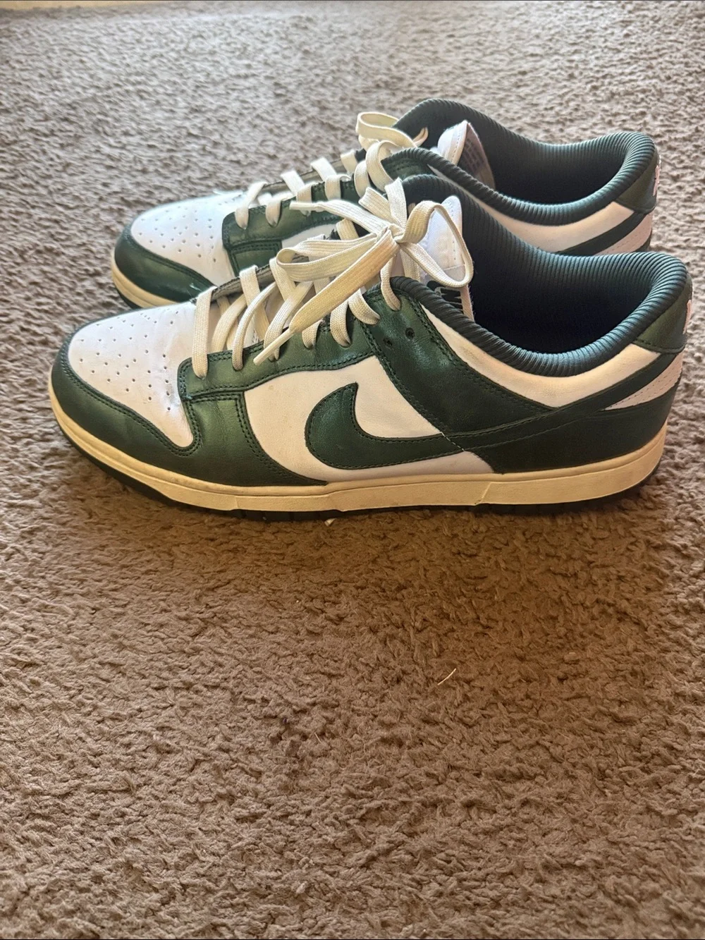 Nike Low-Top Sneakers in White and Dark Green
